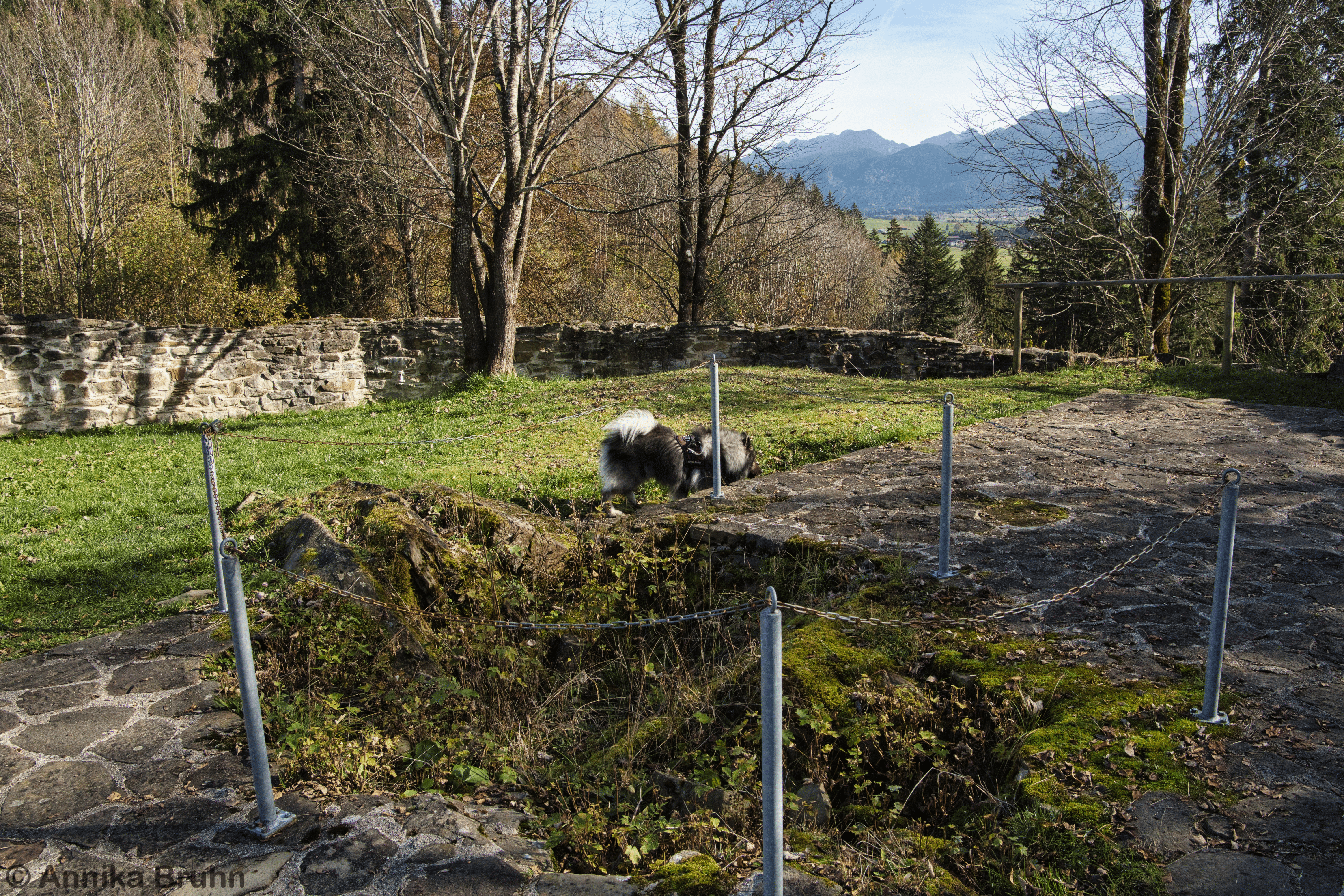 Q erforscht die Burgruine Hopfen am See